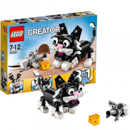idee cadeau pour garcon de 12 ans id 233 es cadeau anniversaire gar 231 on de 6 ans 7 ans 8 ans 9 idee cadeau pour garcon de 12 ans id 233 es cadeau anniversaire gar 231 on de 6 ans 7 ans 8 ans 9