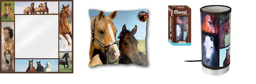 deco_chambre_fan_equitation_miroir_coussin_lampe.jpg