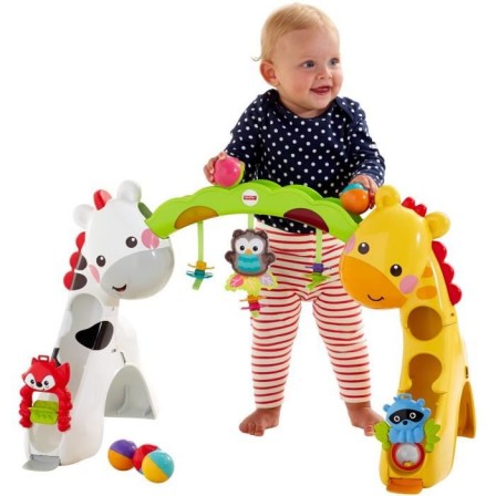 cadeau_fisher_price_9_mois_12_mois_18_mois_aide_a_la_marche_jeu_evolutif.jpg