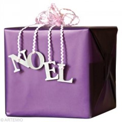 idée paquet cadeau à décorer fabriquer un emballage un paquet cadeau originale pour noel activités facile noel avec enfant.jpg