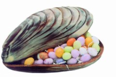 moule chocolat à garnir pour paques moule en polycarbonate pour moulage chocolat de qualité.jpg