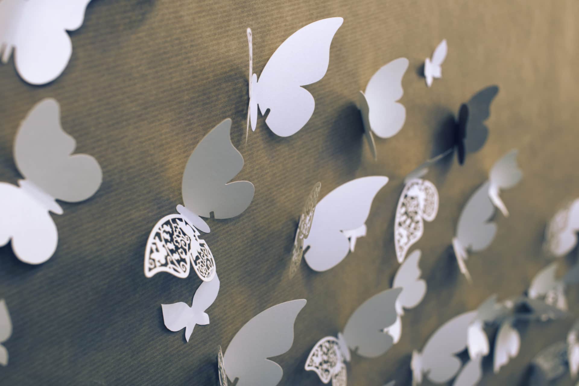 Gabarit Papillon à Imprimer Et Découper modèle papillon Archives - Un max d'idées