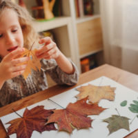 cute child girl making herbarium at home, autumn seasonal crafts