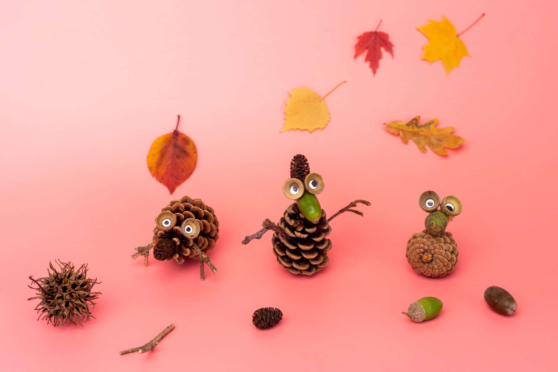 Activités Pomme De Pin Maternelle Activités manuelles d'automne pour enfant en maternelle - Un max d'idées