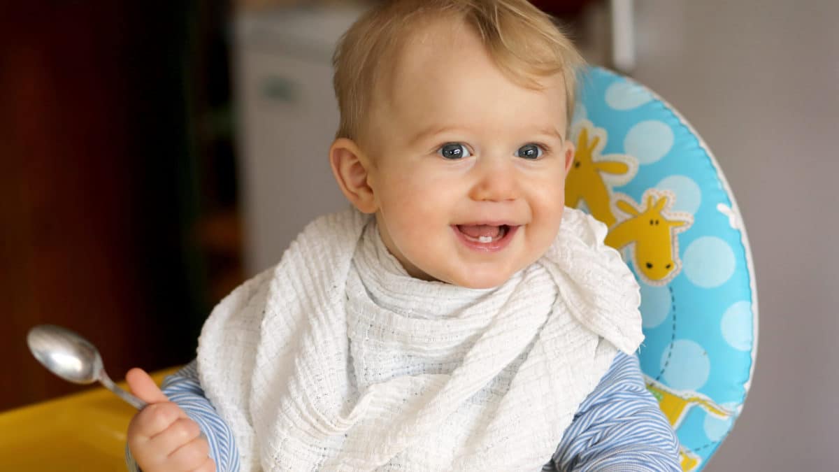 chaise haute pour bébé pas chère