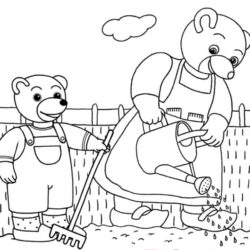 Coloriage Petit Ours Brun Les Coloriages Gratuits Un Max D Idees