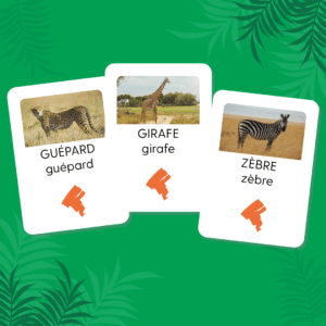 carte animaux de la savane