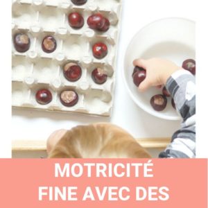 jeu motricité fine pour trier des marrons