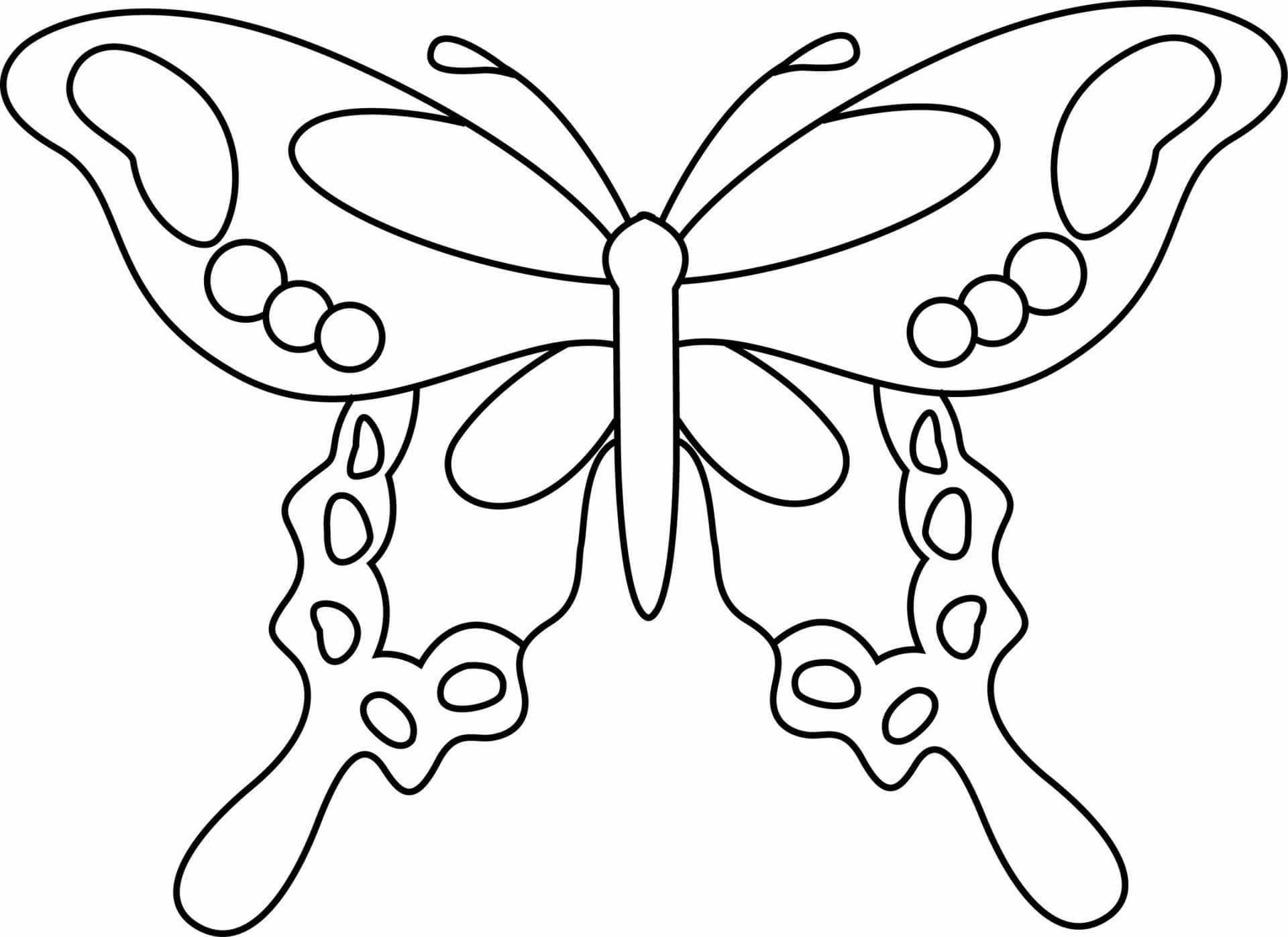 Gabarit Papillon Imprimer - www.inf-inet.com