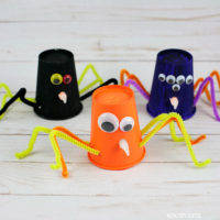 Paper-cup-spiders_8767