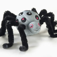 activité pour hallowwen avec une citrouille araignée géante