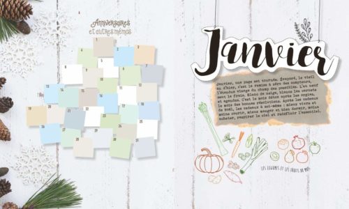 agenda diy 365 jours pour ne pas oublier les anniversaires