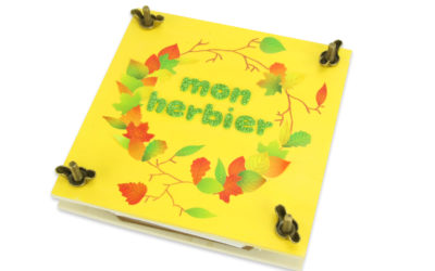activités manuelles fleurs printemps faire sécher des fleurs herbier