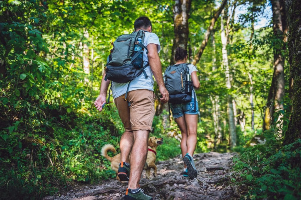 personnes marchent dans la nature avec un sac à dos